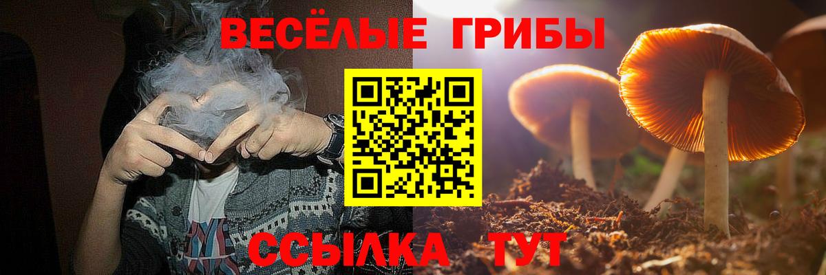 Псилоцибиновые грибы GOLDEN TEACHER  Псилоцибиновые грибы GOLDEN TEACHER  Черняховск  Вход с VPN 