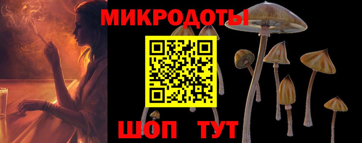 Псилоцибиновые грибы мицелий Черняховск